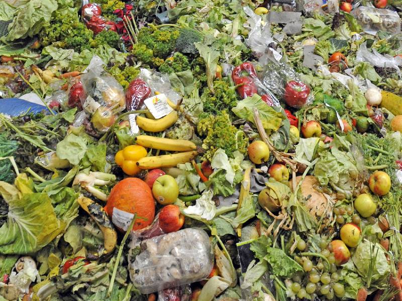 desperdicio alimentario