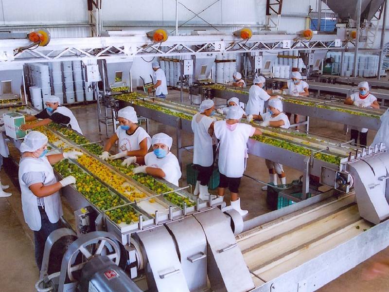 manufactura yucatan