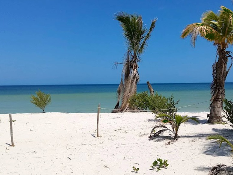 Buscan que San Crisanto se convierta en una Playa Platino