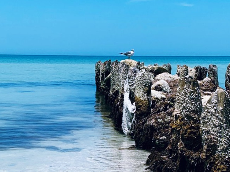 Clima para Yucatán se prevén tormentas dispersas