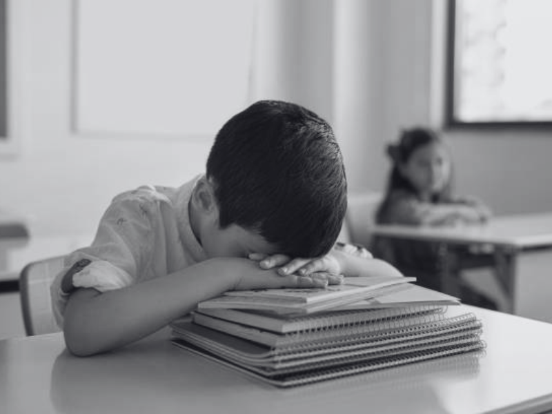 ONG detecta 900 casos de bullying al año en Yucatán