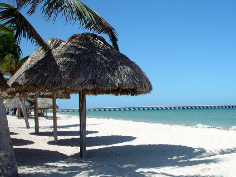 Pedirán préstamo para ampliación del Puerto de Altura de Progreso