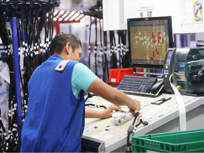 Avanza generación de empleos en la entidad