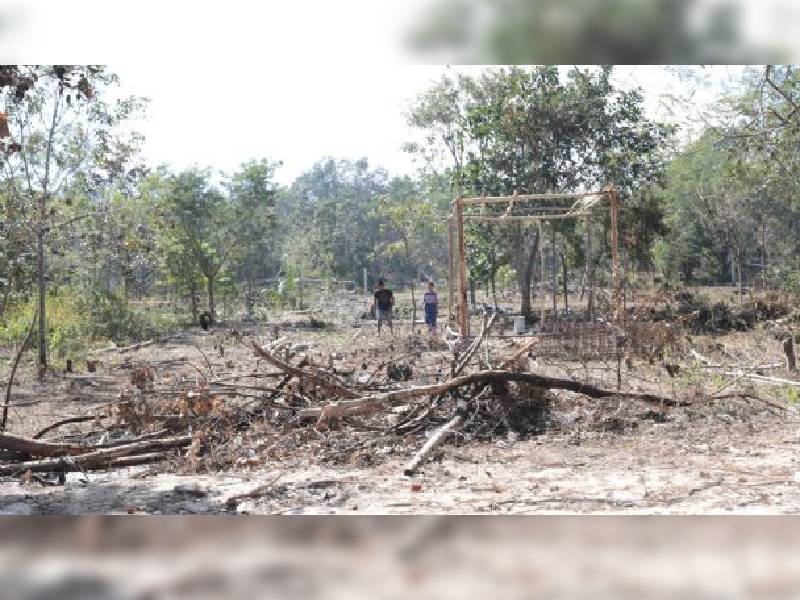 Yucatán sin afectaciones por sequía