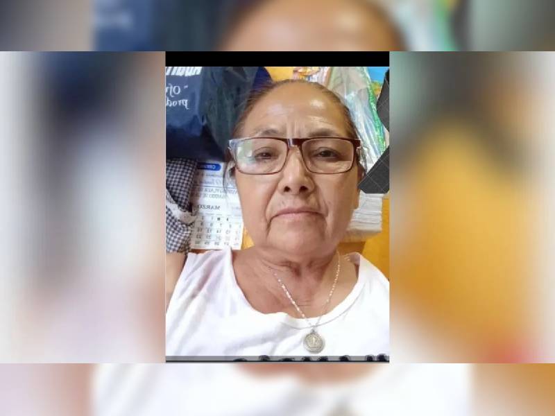 Hay un detenido por el asesinato de Teresa Magueyal, madre buscadora de Guanajuato: AMLO