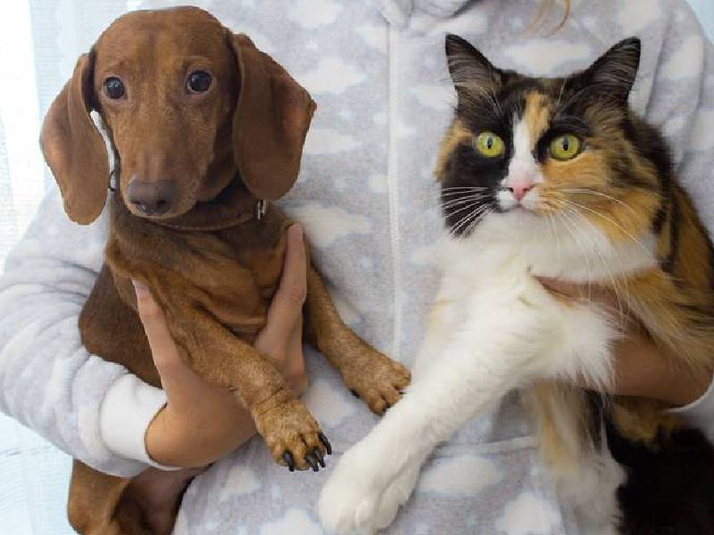 esterilizacion
