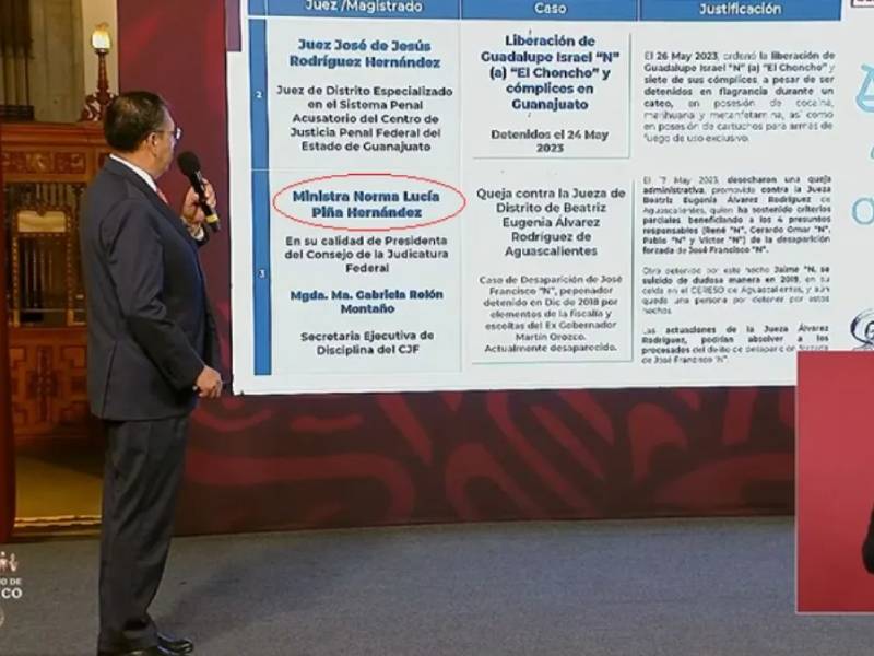 norma piña gobierno