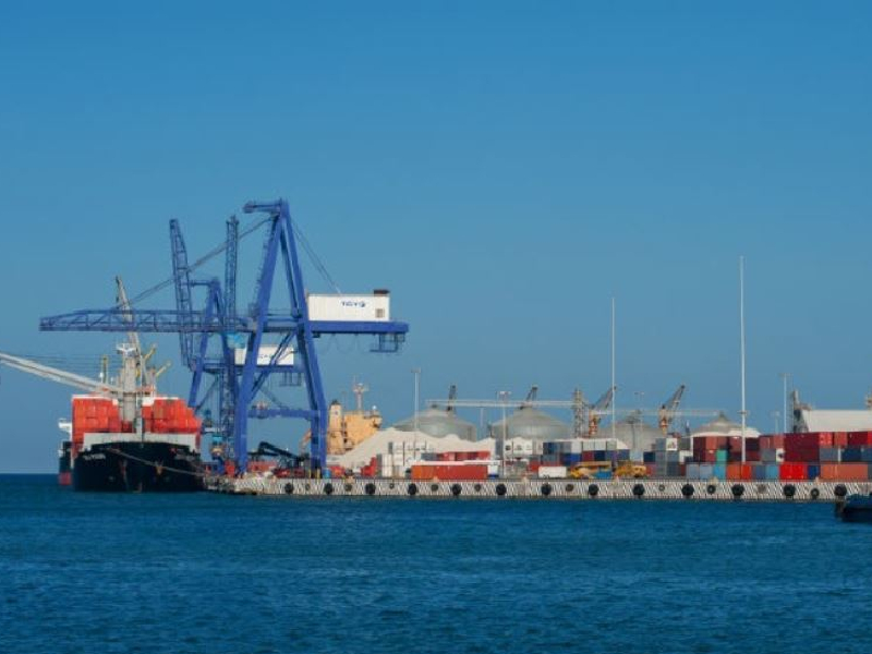 Demoras en Puerto de Altura generan millonarias pérdidas