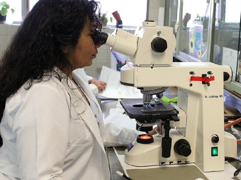 Mujeres en las ciencias