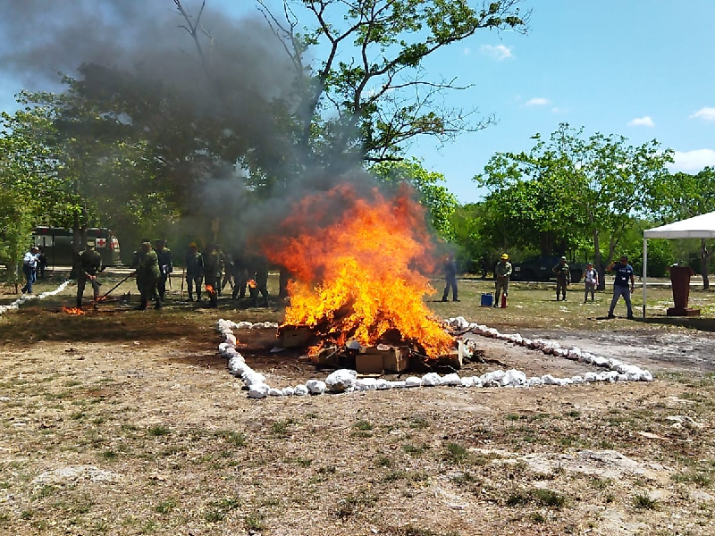 Ejército continúa acciones en contra de drogas