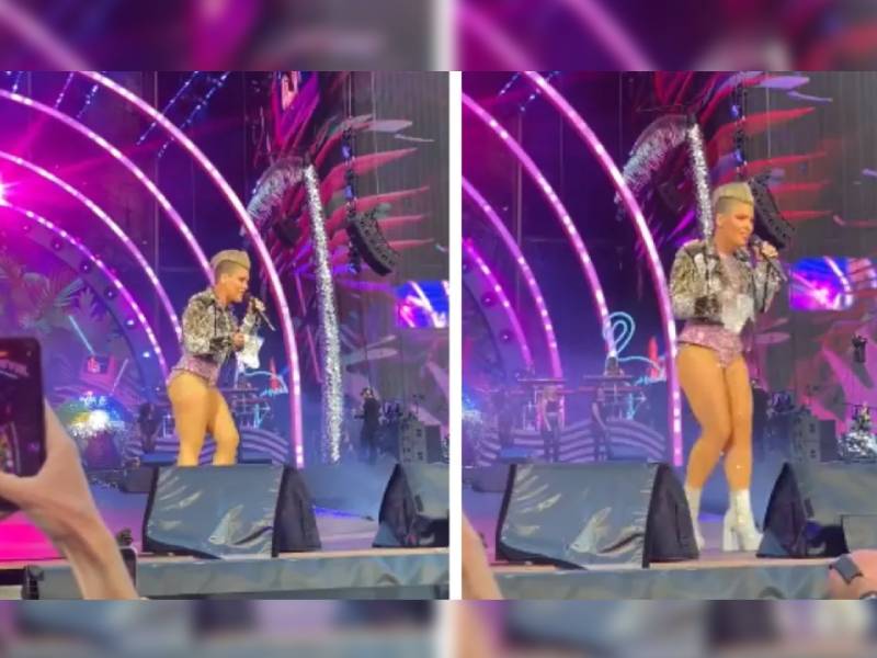 Video. Fan lanza cenizas de su madre a escenario en concierto de Pink
