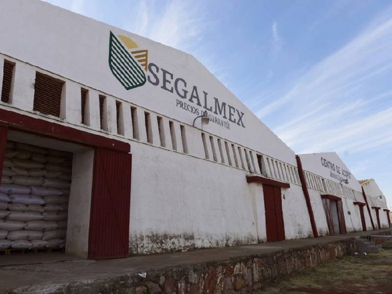 Desfalco en Segalmex, de 9 mil 500 mdp, afirma la SFP