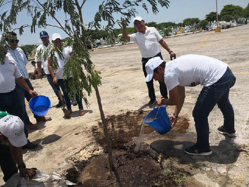 Inicia jornada forestal en Mérida