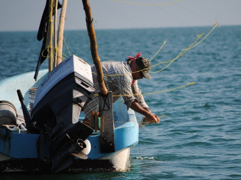 Reforzarán acciones contra pesca furtiva en Yucatán