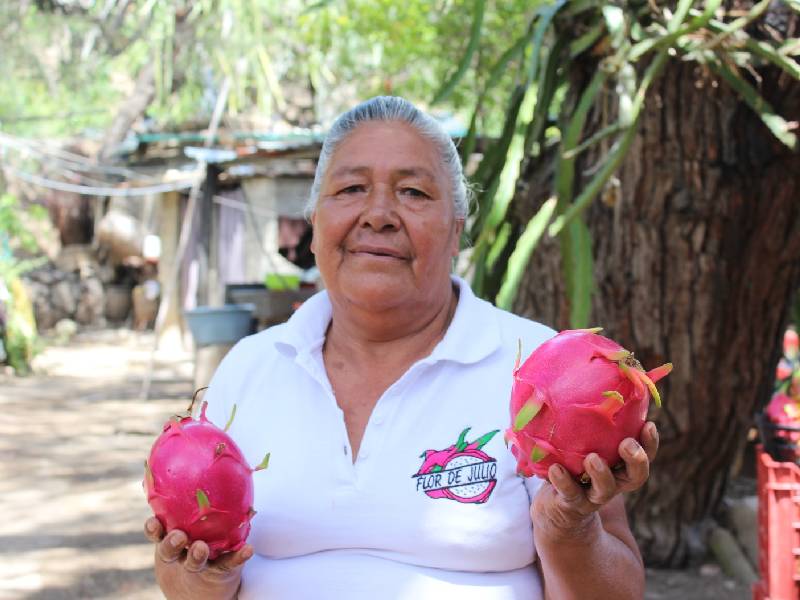 pitahaya