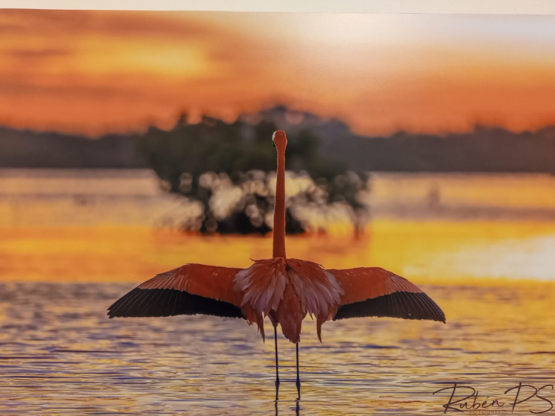Exposición fotográfica en Mérida, un llamado a cuidar el medio ambiente