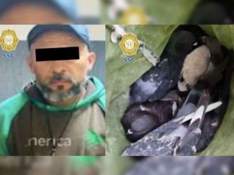 Detienen a hombre que atrapaba palomas para comercio informal en la CDMX