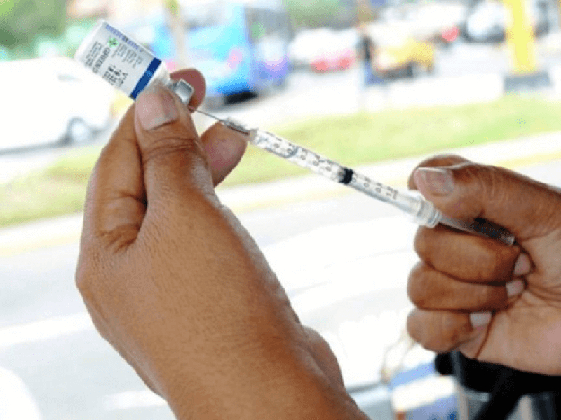 Yucatán cuanta con antídotos necesarios para mordeduras de serpiente