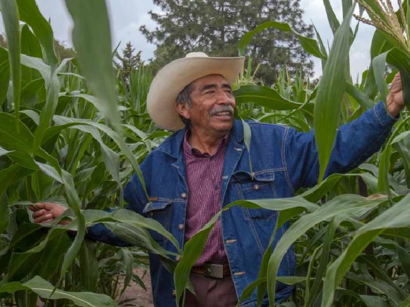Sader entrega fertilizante a 6 mil 500 productores
