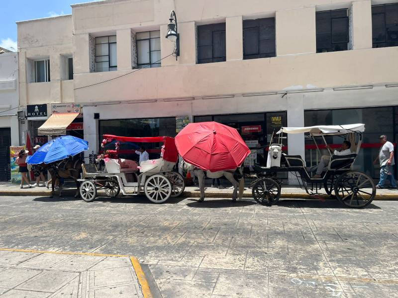 caleseros merida yucatan