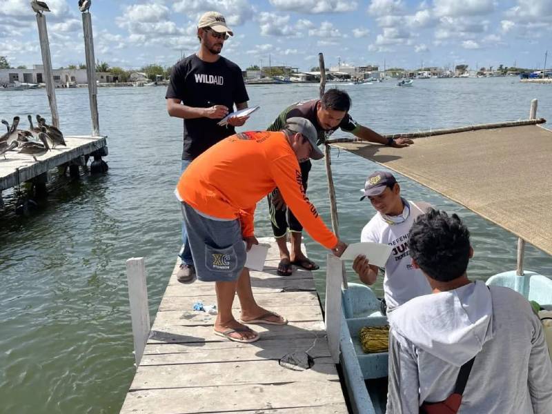 pesca furtiva celestun