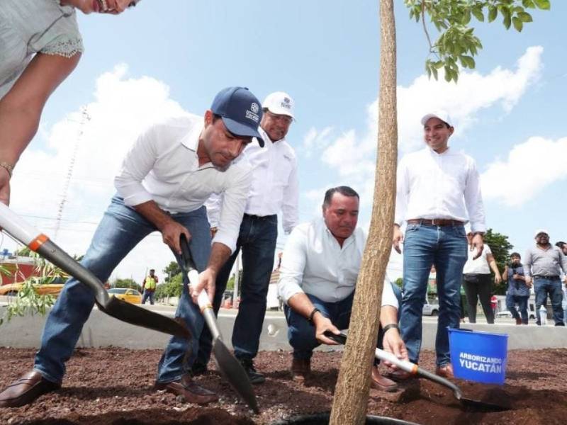 renan barrera arborización