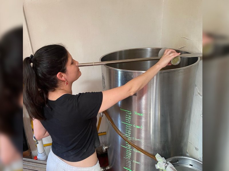 Mujeres cerveceras en Yucatán 