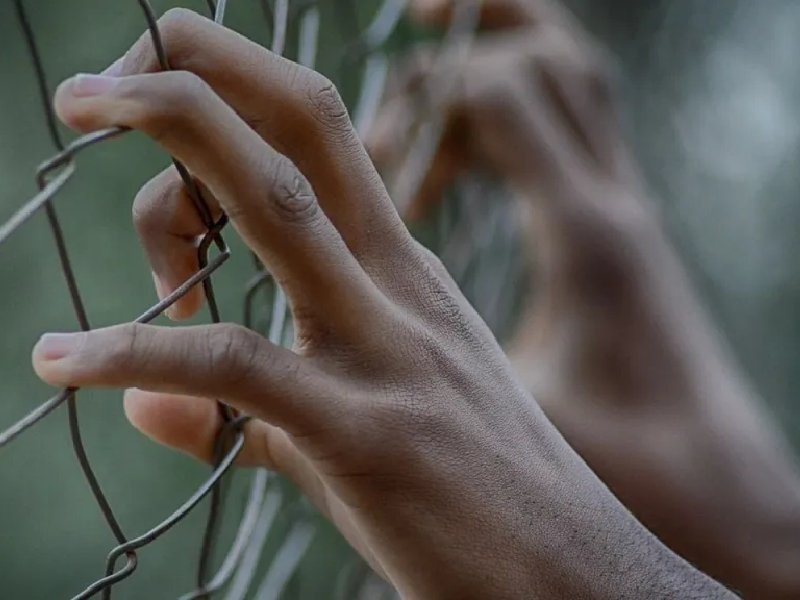 Sentencian en EU a dos jóvenes por intentar contrabandear rifles a México