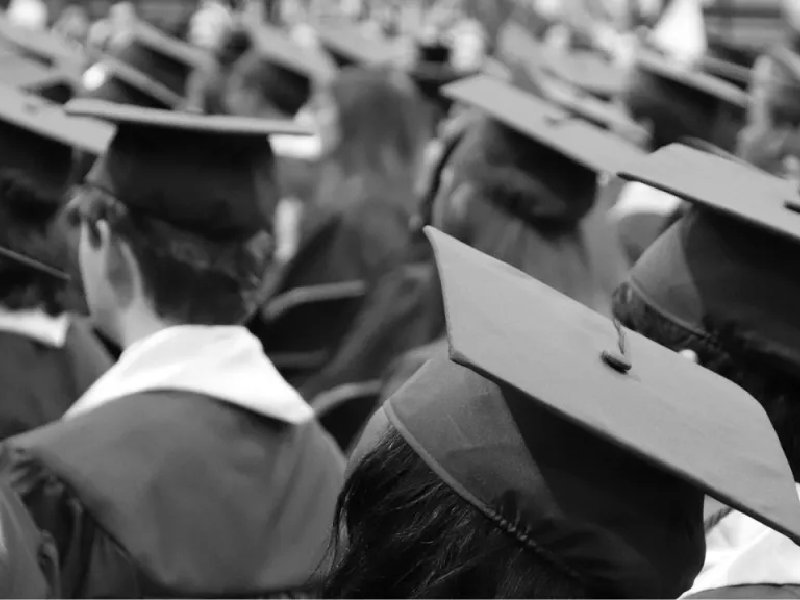 La Universidad de Harvard abrió estos cursos gratis