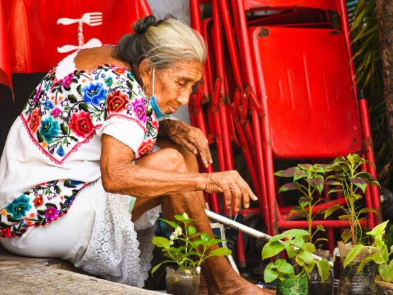 Pueblos indígenas Yucatán.
