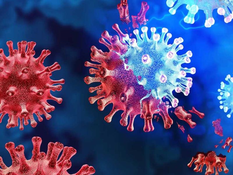 Variante Eris Covid.