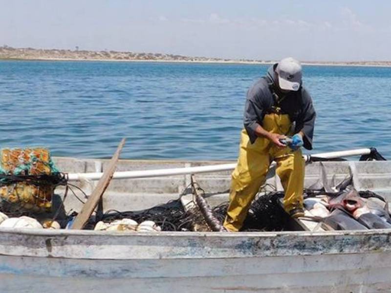 pesca