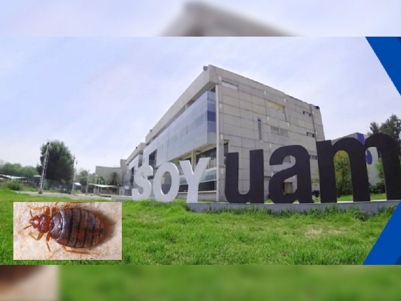 UAM Xochimilco se suma a los trabajos de fumigación por chinches; no afectará las clases