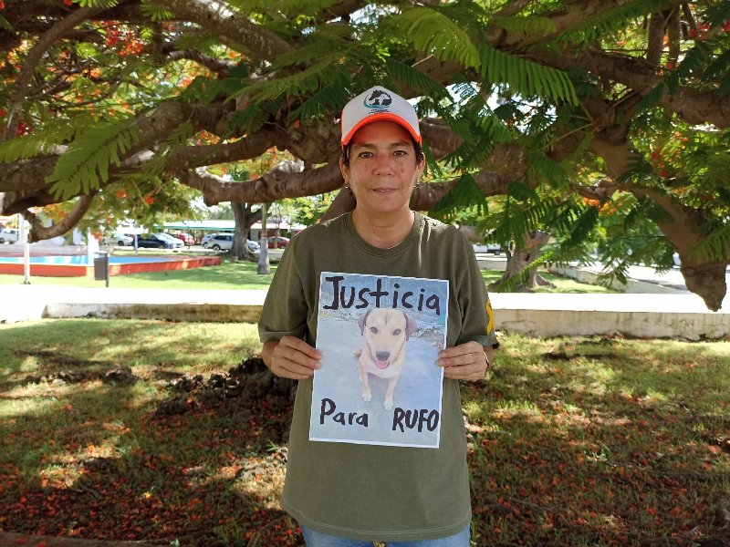 Reportes por maltrato animal han incrementado 80 por ciento este año: Rescatista