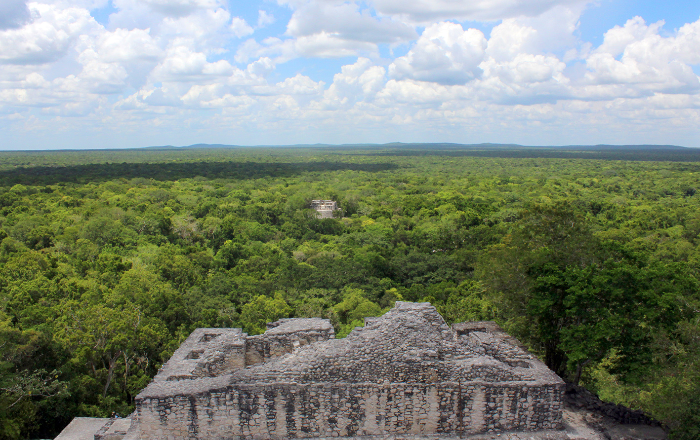 México regresa de la COP16 con avances y desafíos en biodiversidad, destacando el rol de los pueblos originarios en la conservación ambiental.