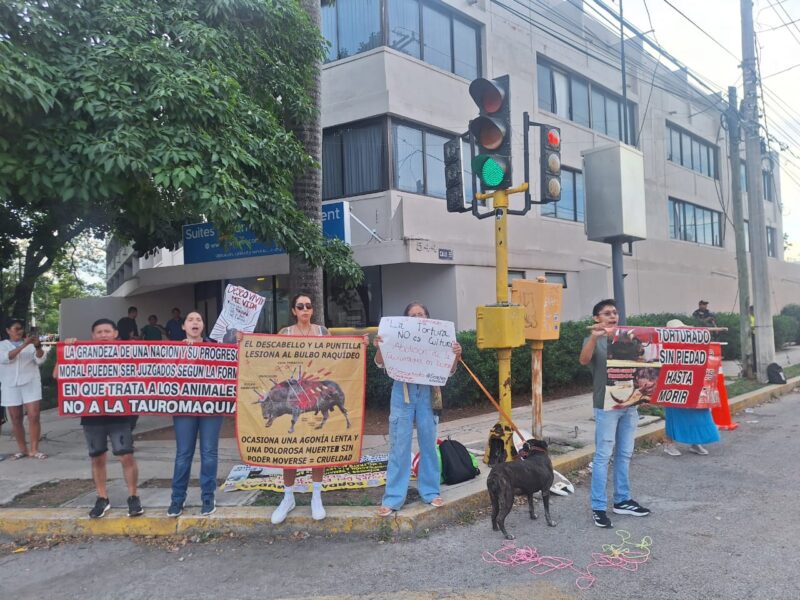 El Ayuntamiento de Mérida aplicará multas por maltrato animal desde 2025, cobradas con el predial. UPA busca fomentar la tenencia responsable.