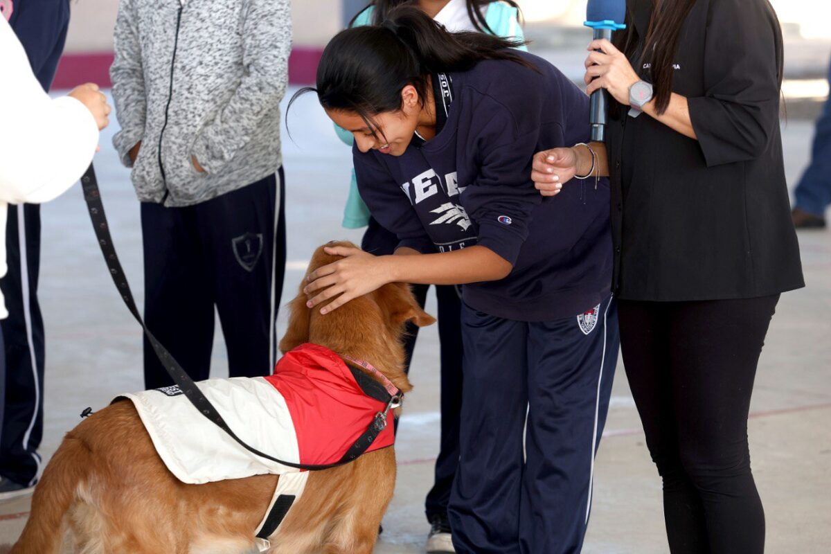 Implementan Canoterapia en Yucatán para combatir suicidio y depresión en jóvenes de secundaria y bachillerato. Conoce esta innovadora iniciativa.