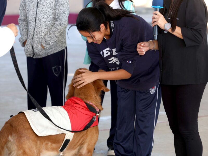 Implementan Canoterapia en Yucatán para combatir suicidio y depresión en jóvenes de secundaria y bachillerato. Conoce esta innovadora iniciativa.