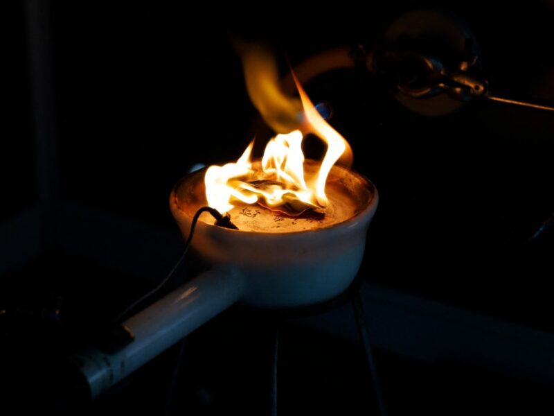 Jardín Botánico de Viña del Mar planta árboles nativos resistentes al fuego tras incendio devastador. Conoce su plan de reforestación.