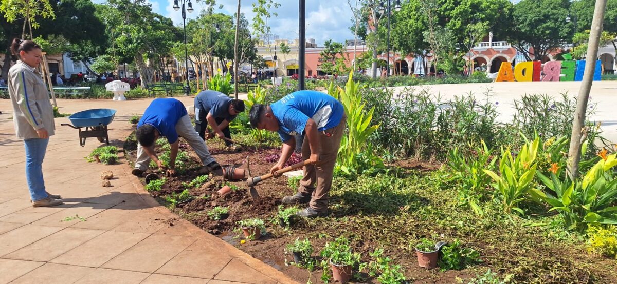 La Plaza Grande de Mérida recupera su esplendor tras el concierto de Mon Laferte, que reunió a más de 35 mil personas en el Mérida Fest 2025.