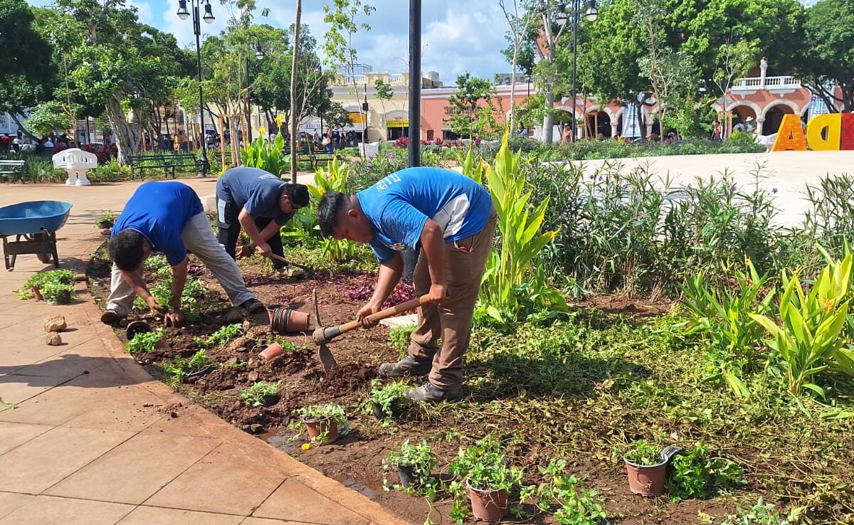 La Plaza Grande de Mérida recupera su esplendor tras el concierto de Mon Laferte, que reunió a más de 35 mil personas en el Mérida Fest 2025.