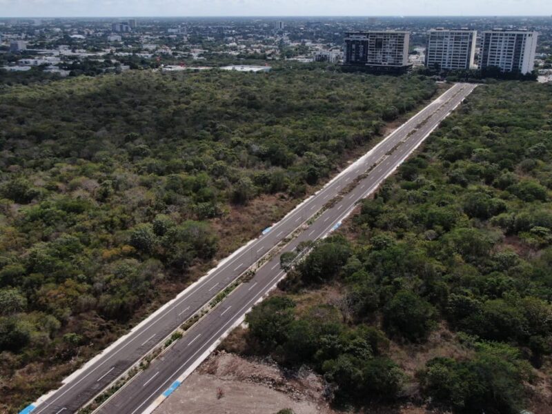 Cecilia Patrón entrega nueva avenida en Sodzil Norte. La vialidad mejora la movilidad en Mérida, reduciendo tiempos de traslado y tráfico.