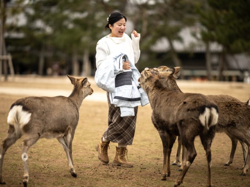 Activistas en Nara, Japón, protegen a los ciervos de la basura turística, recogiendo residuos para preservar su salud y el medioambiente.