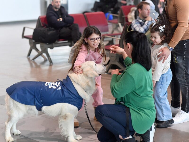 Descubre cómo el aeropuerto de Skopje reduce el miedo a volar con Dino, su perro terapéutico.