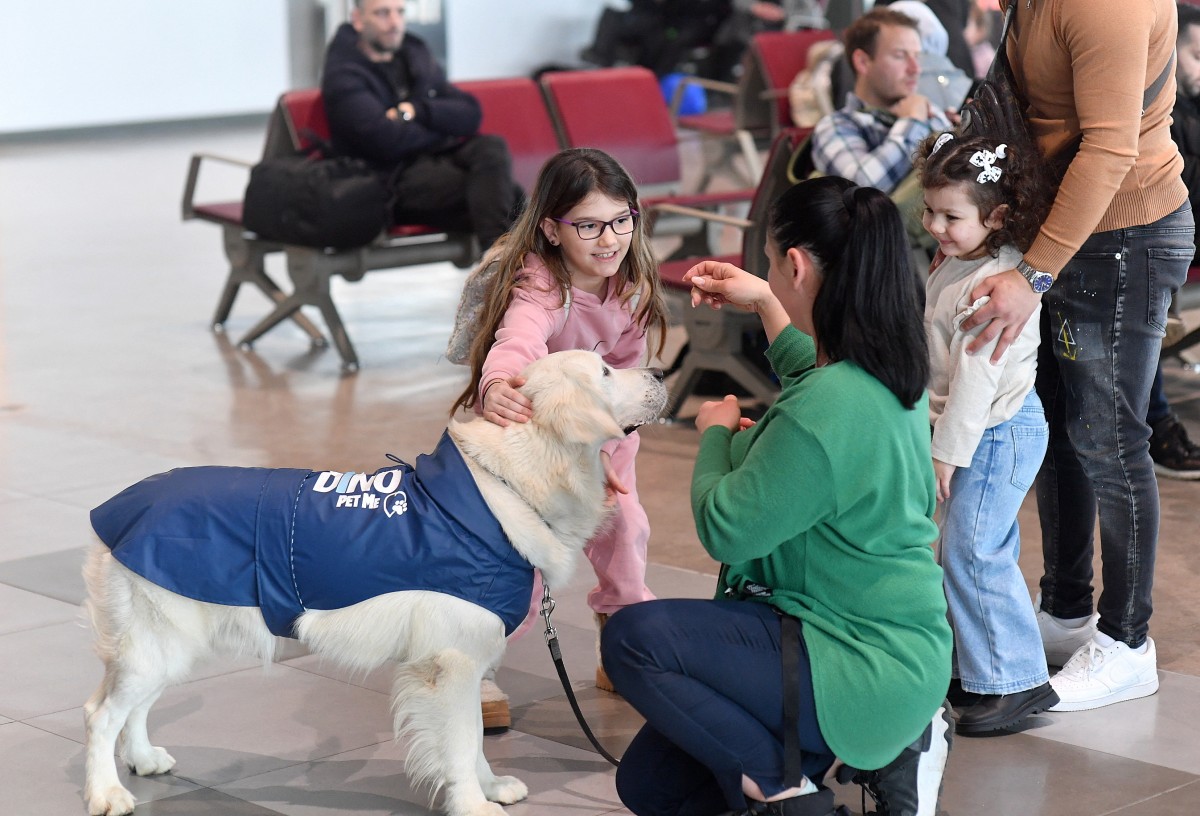 Descubre cómo el aeropuerto de Skopje reduce el miedo a volar con Dino, su perro terapéutico.