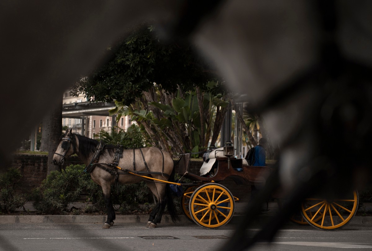 El Ayuntamiento de Málaga eliminará los paseos en carruajes de caballos este año, priorizando el bienestar animal y la modernización urbana.