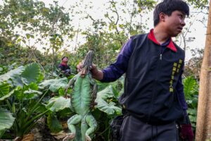 Mujeres luchan por justicia social y llevar sus casos de violencia vicaria a la CIDH. Ayuda a apoyar sus causas con una donación solidaria.