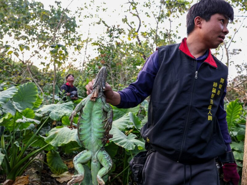 Mujeres luchan por justicia social y llevar sus casos de violencia vicaria a la CIDH. Ayuda a apoyar sus causas con una donación solidaria.