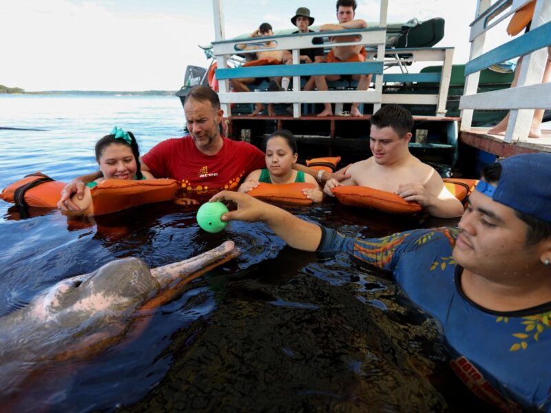 Terapia con delfines amazónicos en Brasil ayuda a jóvenes con discapacidad a mejorar su bienestar físico y emocional en un entorno natural.