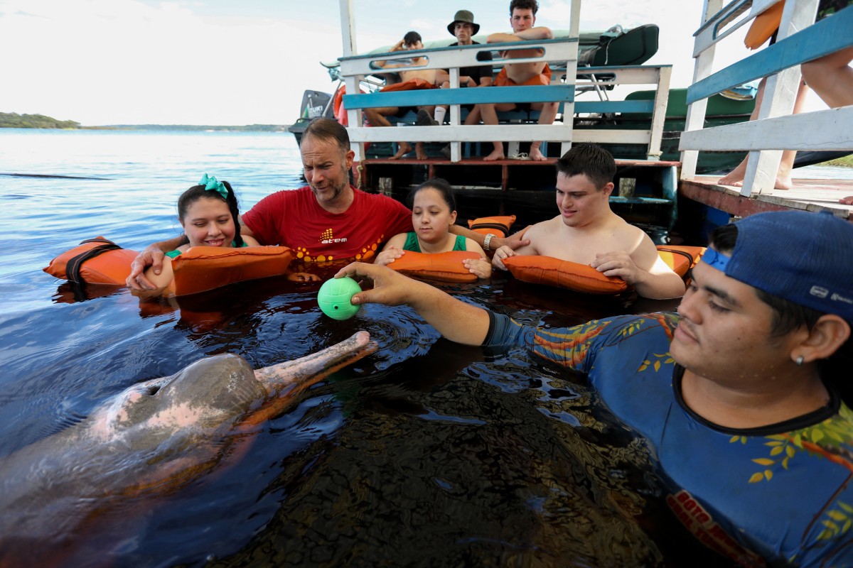 Terapia con delfines amazónicos en Brasil ayuda a jóvenes con discapacidad a mejorar su bienestar físico y emocional en un entorno natural.